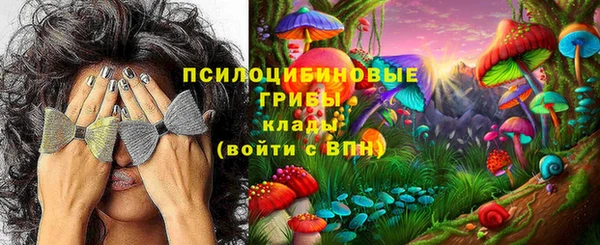 крисы Кинешма