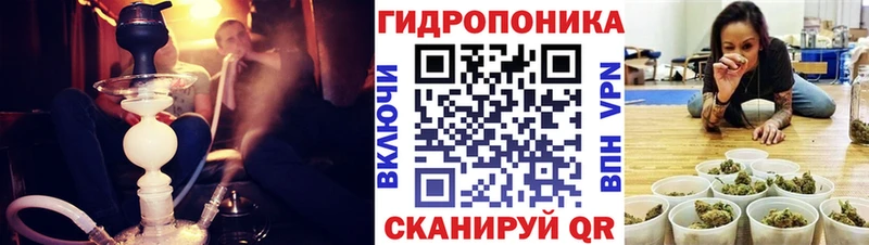 Шишки марихуана сатива  кракен ONION  Козловка 